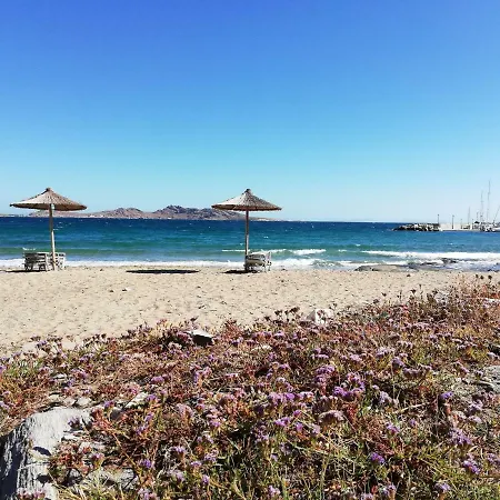 Guest house Sea View Naousa (Paros)