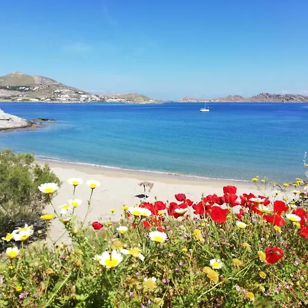 Sea View Guest house Naousa (Paros)